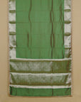 Green organza saree