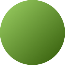The Emerald Edit