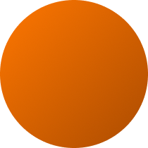 The Marigold Edit