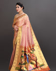 Pastel Pink Soft Tissue Paithani Saree