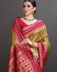 Woman wearing a traditional saree with intricate patterns on a gray background