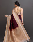 Woman wearing a traditional saree with a plain background