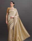 Woman wearing a gold saree with a plain background
