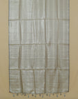 Grey tissue organza saree