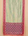 Mint Green with Magenta Patola Border Tissue Silk Saree