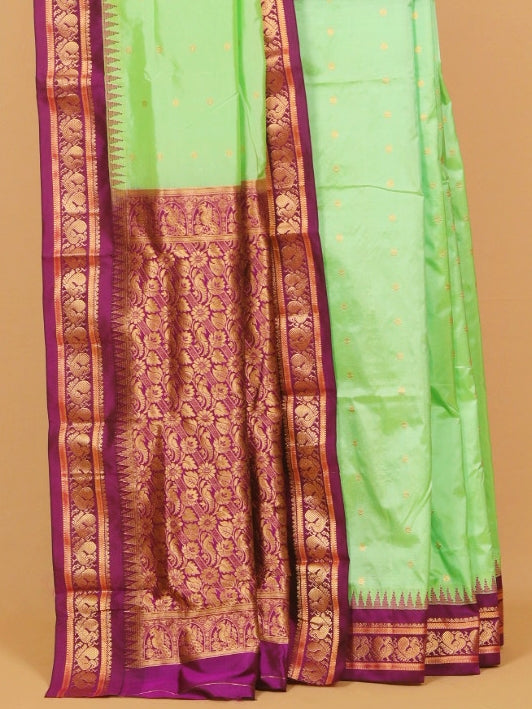 Pista green by magenta wine gadhwal saree