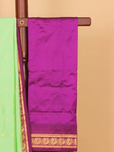 Pista green by magenta wine gadhwal saree