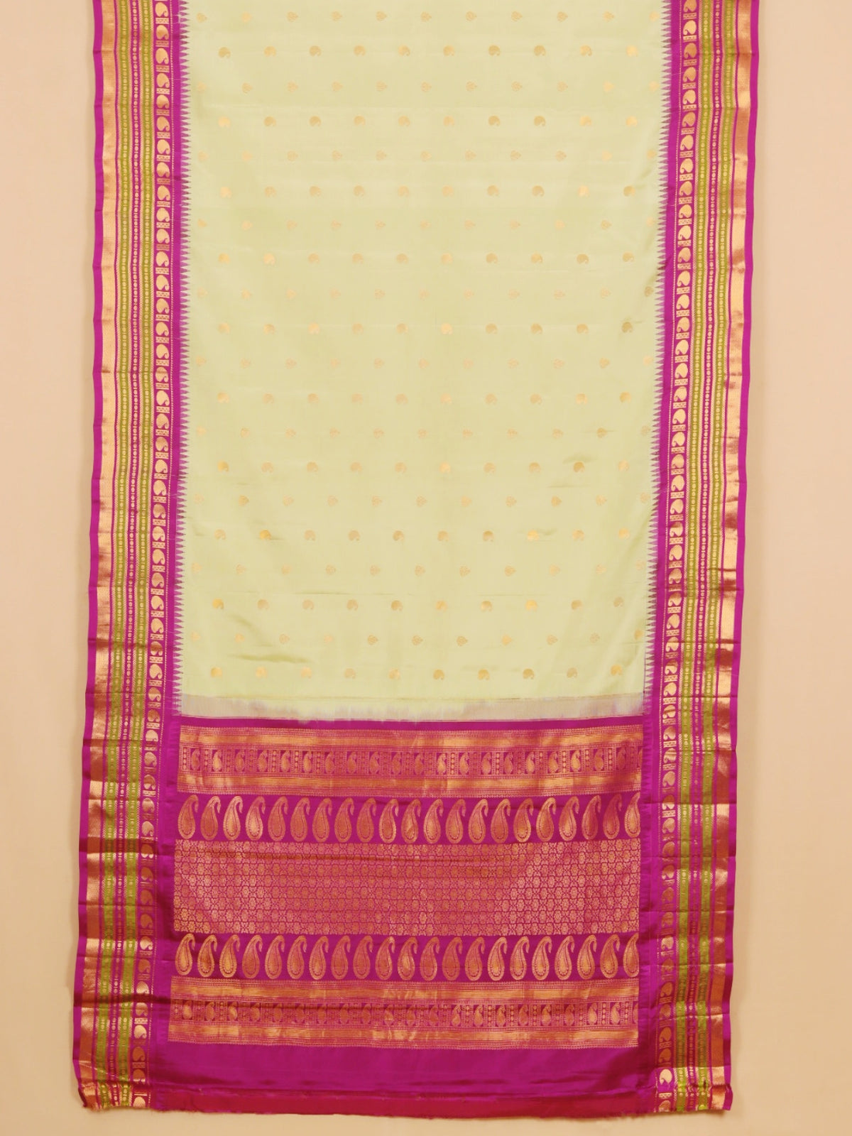 Pista by magenta gadhwal silk saree