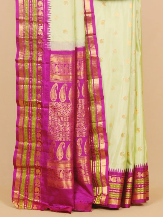 Pista by magenta gadhwal silk saree